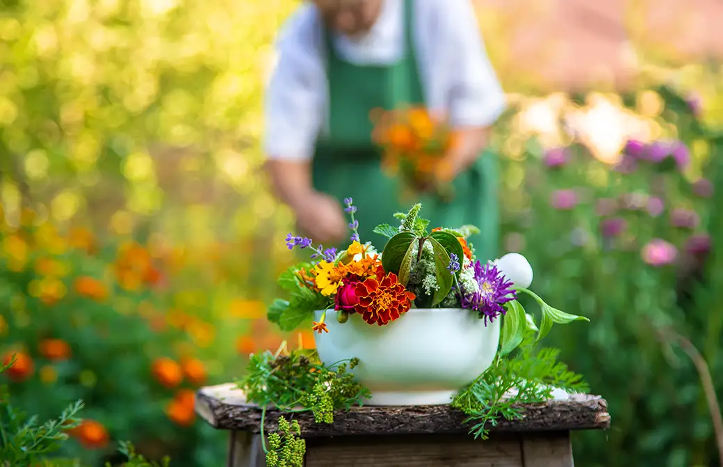 Rośliny doniczkowe w ogrodzie – jak harmonijnie łączyć różne gatunki?