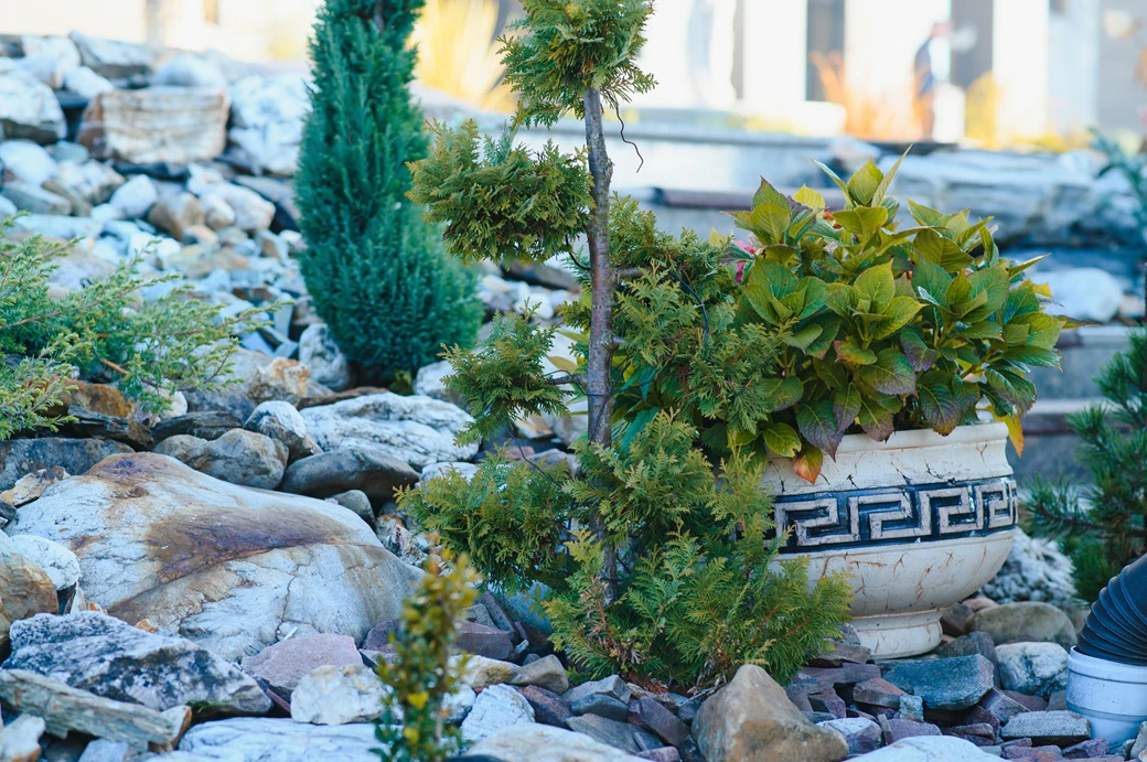Ogród skalny krok po kroku – jak stworzyć efektowną aranżację?