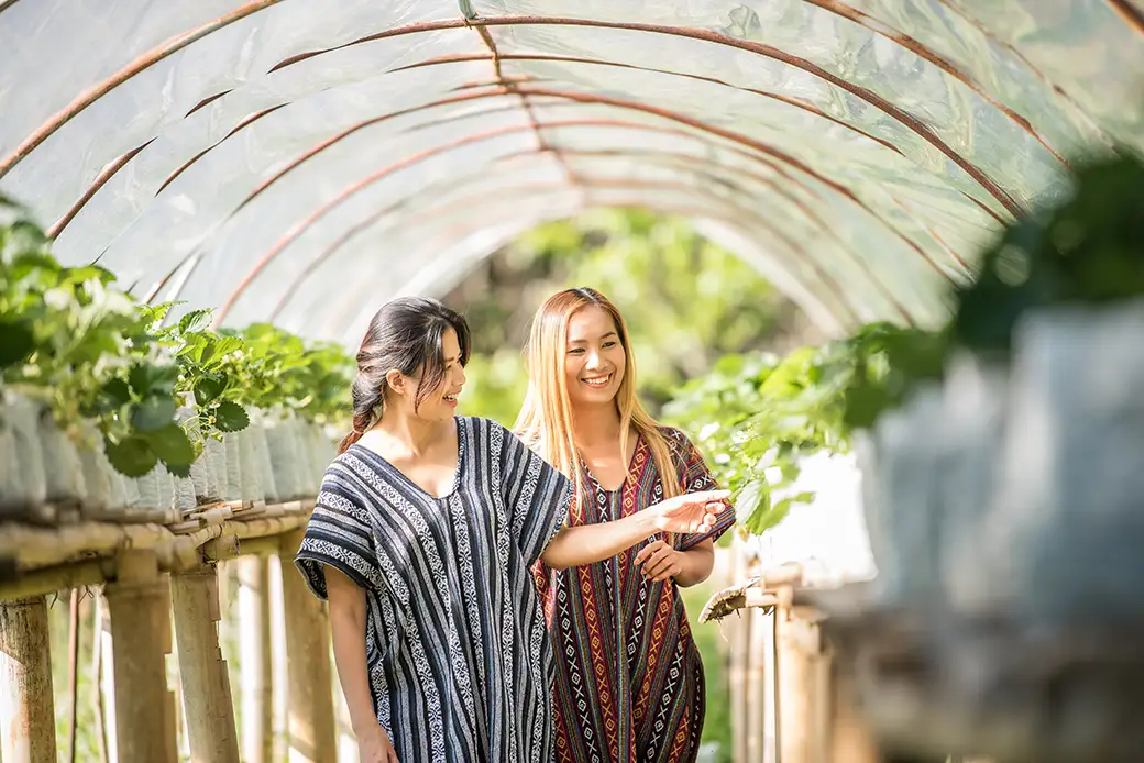 Podwyższone grządki: Ergonomiczne rozwiązania dla Twojego ogrodu