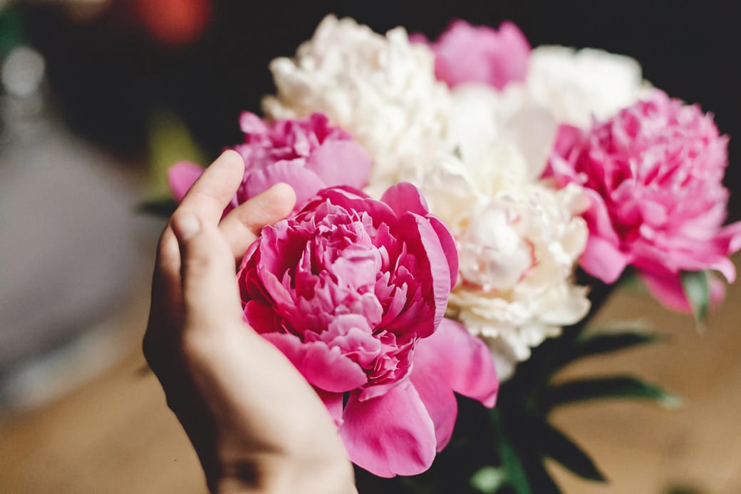 Najlepsze rośliny wieloletnie do ogrodu – piękno przez cały sezon