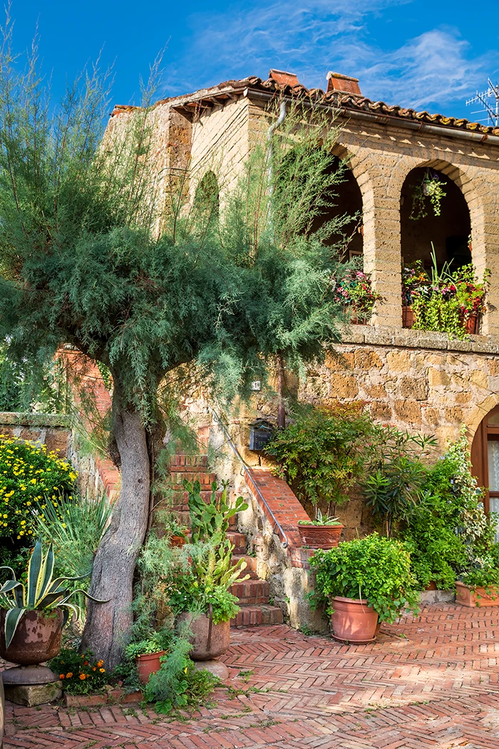 Ogród w stylu śródziemnomorskim – jak wprowadzić południowy klimat do swojego ogrodu?