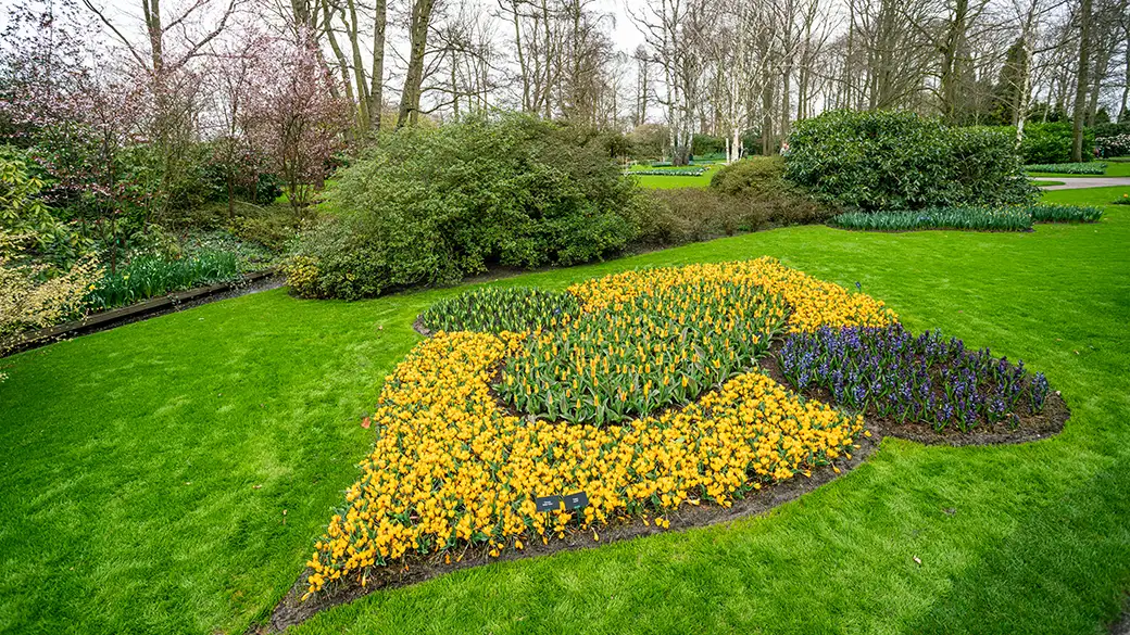 Sztuka aranżacji kwietników – jak stworzyć harmonijną kompozycję roślinną?