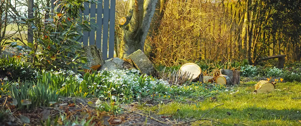 Prace ogrodnicze wiosną: Jak przygotować ogród na nowy sezon?