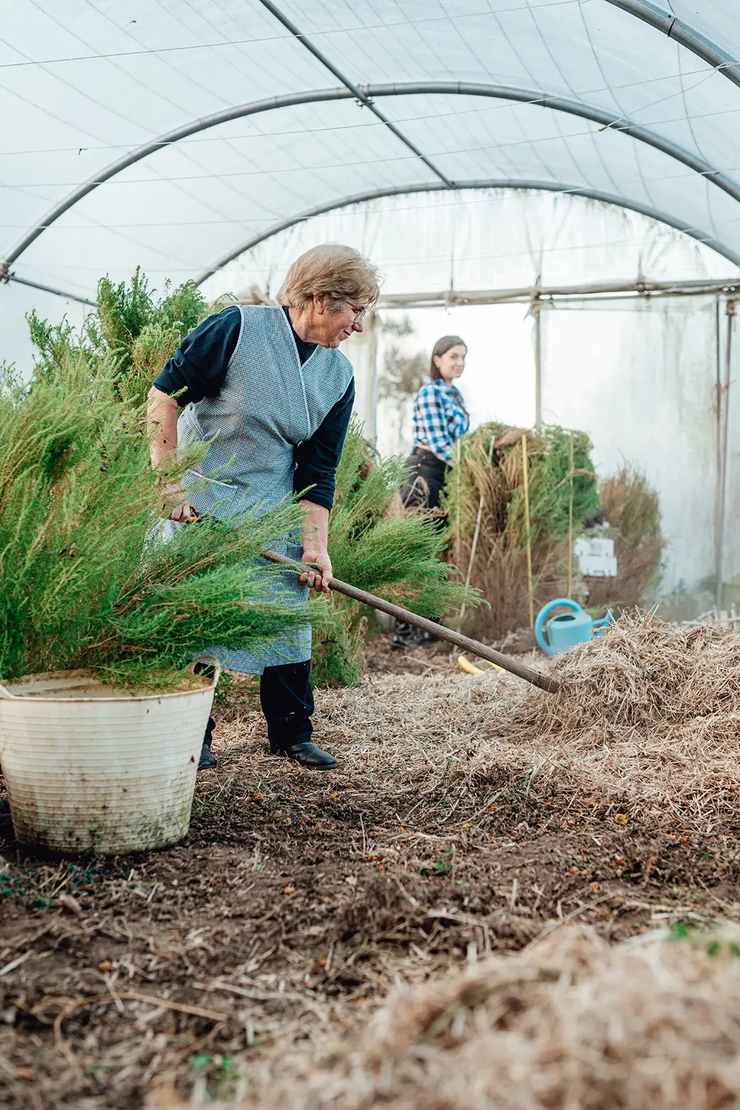 Naturalne sposoby na utrzymanie wilgoci w glebie – mulczowanie i inne techniki