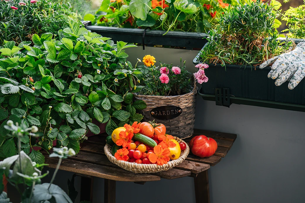 Jak stworzyć ogród na balkonie? Pomysły na małą przestrzeń zieleni