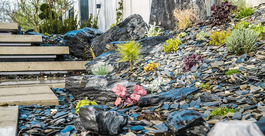 Ogrody skalne: Jak założyć ogród skalny i wybrać odpowiednie rośliny?