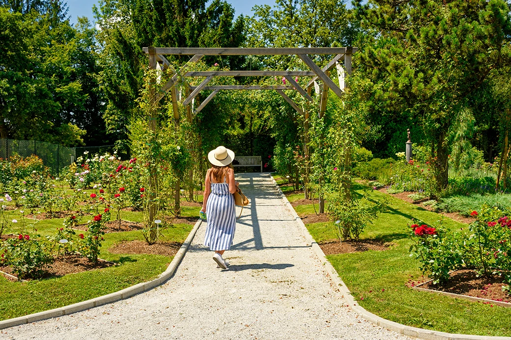 Pergola w ogrodzie – jak zaprojektować idealne miejsce do wypoczynku?