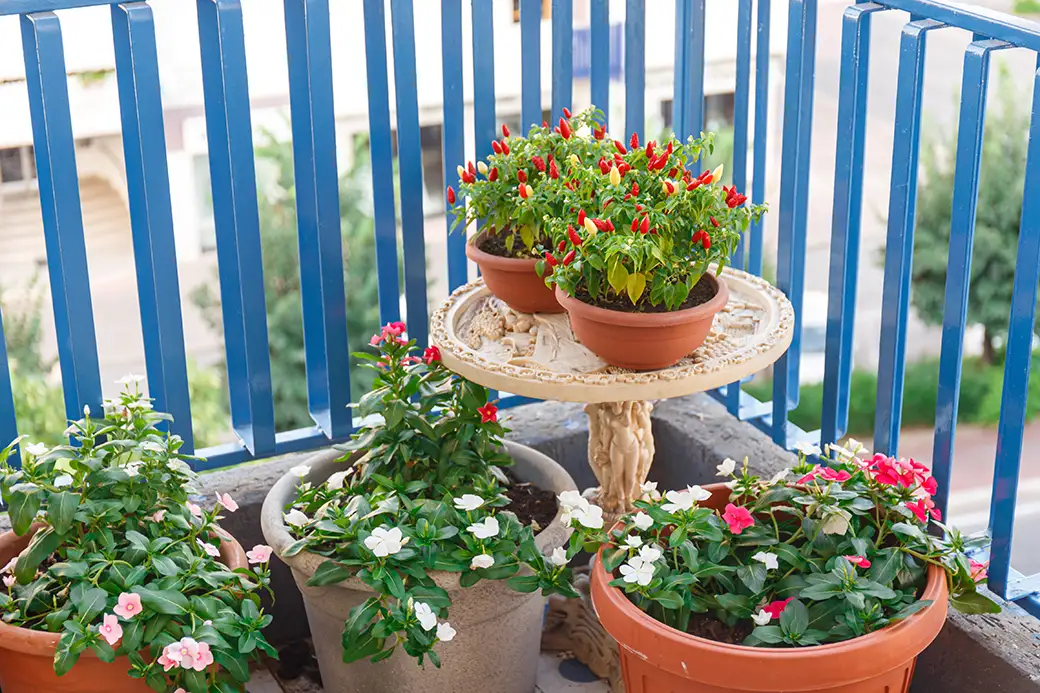 Przekształć balkon w oazę zieleni – rośliny idealne do małych przestrzeni