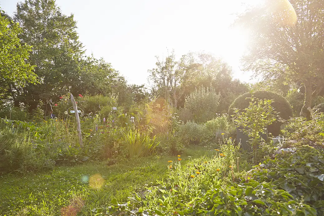 Jak stworzyć ogród w stylu wiejskim – rustykalne inspiracje i rośliny