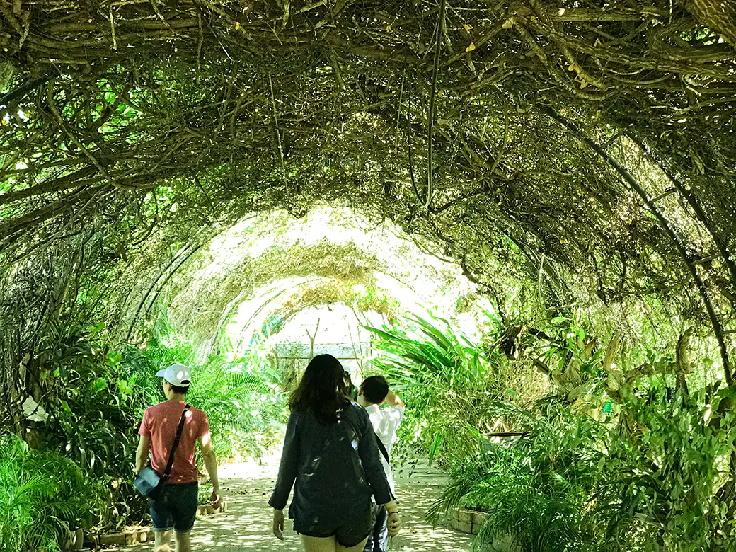 Strefy mikroklimatyczne w ogrodzie – jak je wykorzystać?