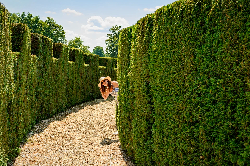 Żywopłoty i ich funkcje w ogrodzie – jak wybrać najlepsze rośliny?