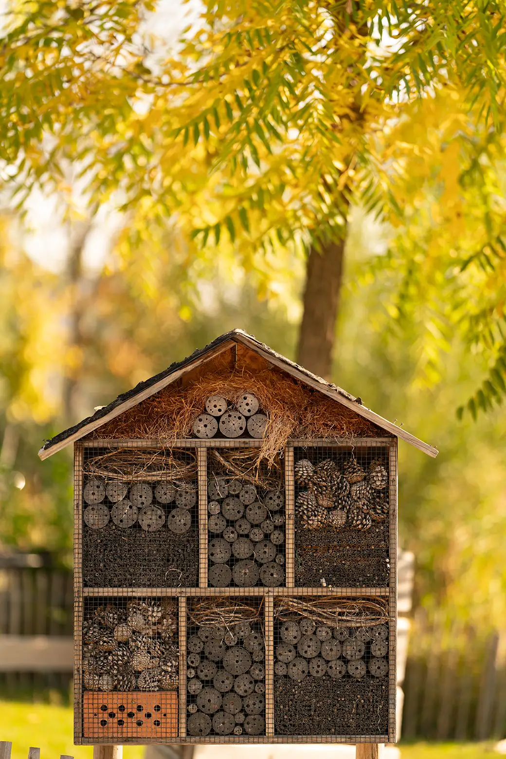Miejsca dla owadów – hotele dla owadów jako element dekoracyjny