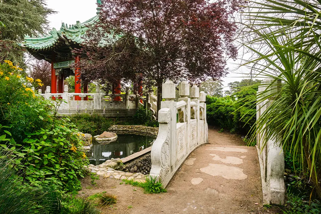 Jak stworzyć ogród inspirowany kulturą chińską – harmonia i symbolika