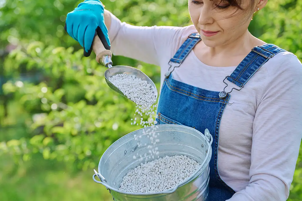 Azot, fosfor, potas – jak działają podstawowe składniki nawozów