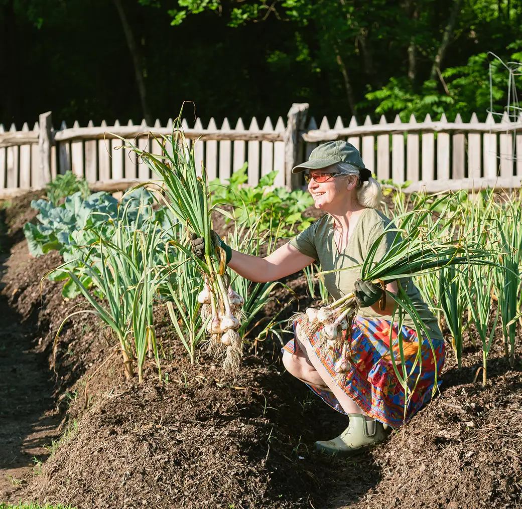 Ogród ekologiczny bez kopania – metoda no-dig w praktyce