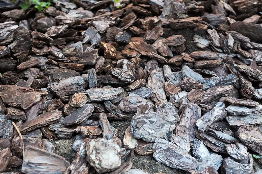 Dekoracyjne wykorzystanie kory i zrębków drzewnych