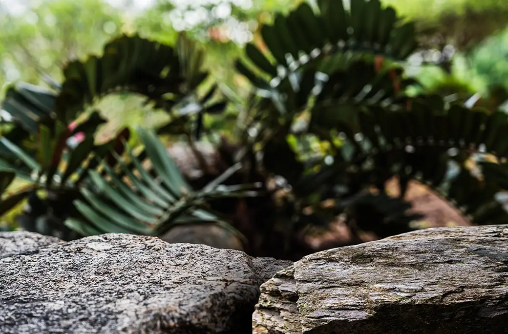 Kamienie w dekoracji ogrodu – skalniaki, mozaiki, ścieżki