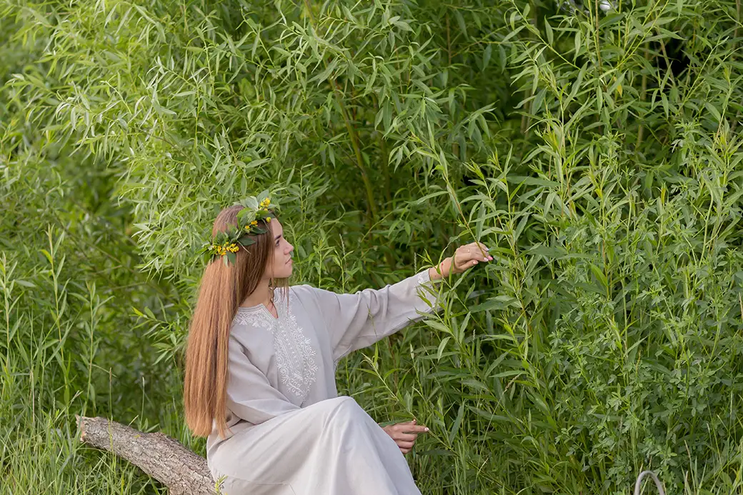 Rośliny szybko rosnące – jak szybko zazielenić swój ogród