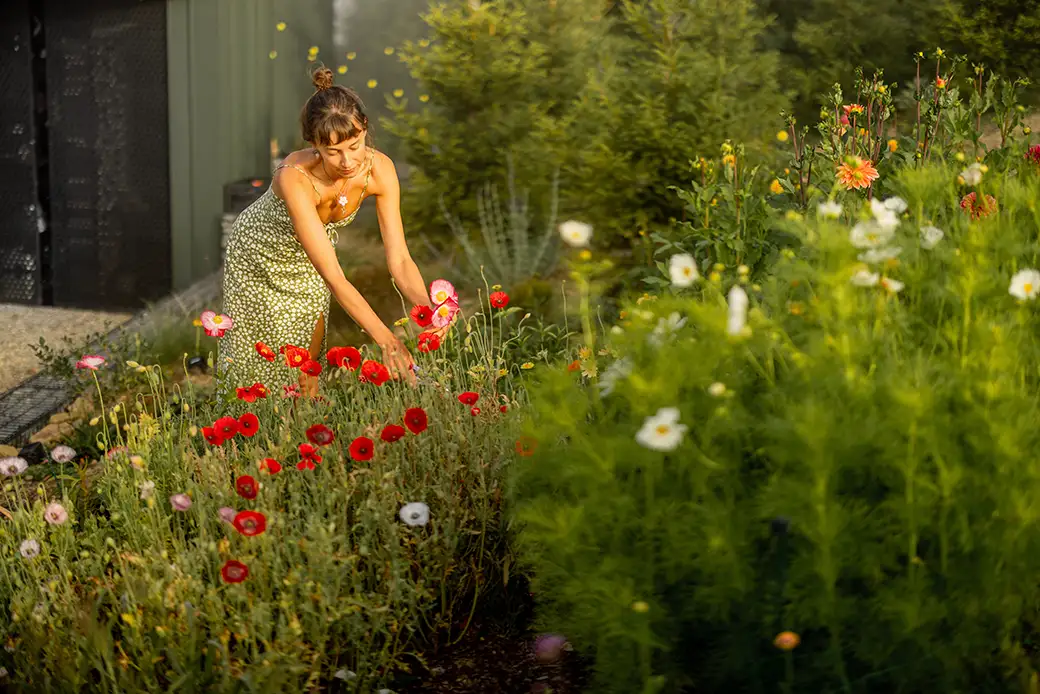 Sztuka kompozycji roślin – zasady łączenia kolorów i form w ogrodzie